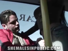 Flannel Sucking Lark on The Bus